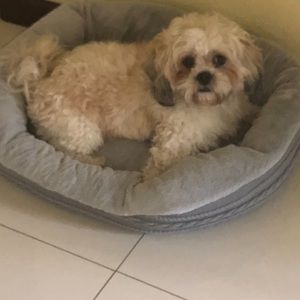 Meet your Posher, Eronica